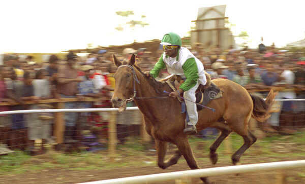 
Kiwanis Race day is a huge event in Port Vila. Nearly a third of the
population gathers on the Elluk heights overlooking Port Vila harbour
to watch the finest horses in the nation show their mettle. 
A rider charges down the opening stretch. He and a number of his colleagues
come from Tanna, an island which, not coincidentally, has a population
of wild horses.

