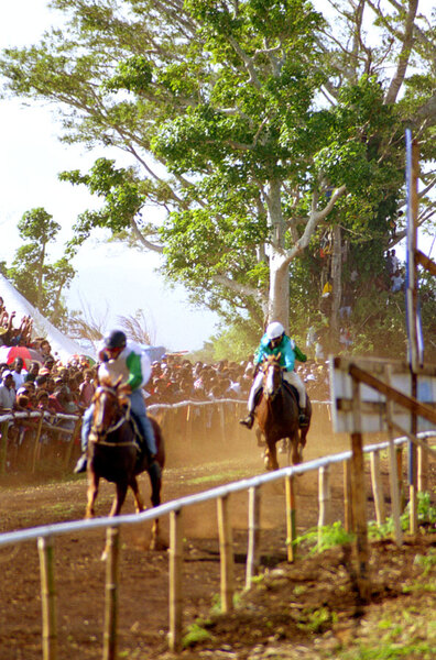 
Kiwanis Race day is a huge event in Port Vila. Nearly a third of the
population gathers on the Elluk heights overlooking Port Vila harbour
to watch the finest horses in the nation show their mettle. 
Here, two riders thunder down the final stretch.

