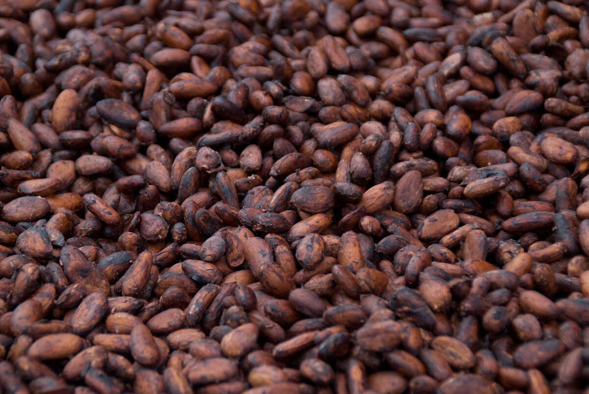 atchin-cacao-beans-1.jpg