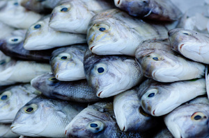 Shots from a return visit to Denpasar market in Bali, Indonesia.
