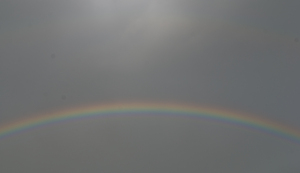 A particularly vivid rainbow showed itself over my neighbourhood last week.
