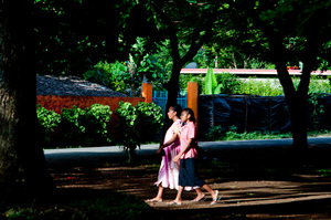 Crossing through a pool of sunlight in Freswota Park.
