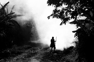 A woman gathers leaves to burn in Port Vila's Freswota 4 neighbourhood.
