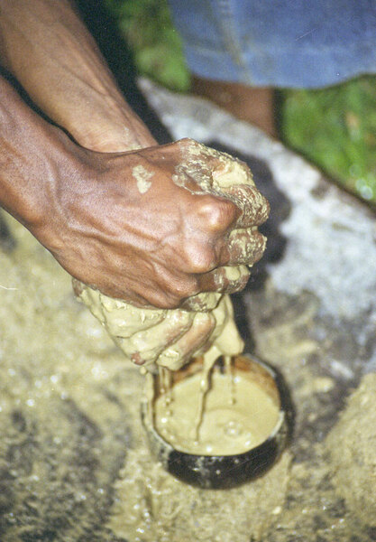 At the end of a project conference, I asked some friends
of mine from the northern Banks Islands group to perform
a kastom dance for the attendees, and to make kava for us.
Kava for commercial consumption is generally washed in a 
cement mixer and passed through a sausage grinder before
being sieved through a woman's slip. The kastom method, 
on the other hand, consists of 
decidedly phallic-looking coral stone, then 
straining it several times through a filter made of coocnut fibre.


