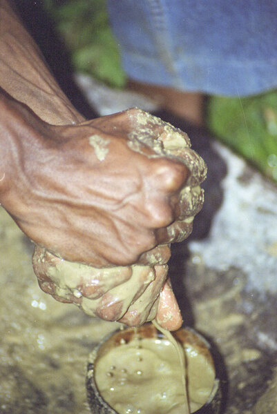 At the end of a project conference, I asked some friends
of mine from the northern Banks Islands group to perform
a kastom dance for the attendees, and to make kava for us.
Kava for commercial consumption is generally washed in a 
cement mixer and passed through a sausage grinder before
being sieved through a woman's slip. The kastom method, 
on the other hand, consists of 
decidedly phallic-looking coral stone, then 
straining it several times through a filter made of coocnut fibre.

