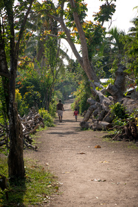 Fallen trees and branches still line the laneways on Ifira island, three months after cyclone Pam caused widespread destruction.
