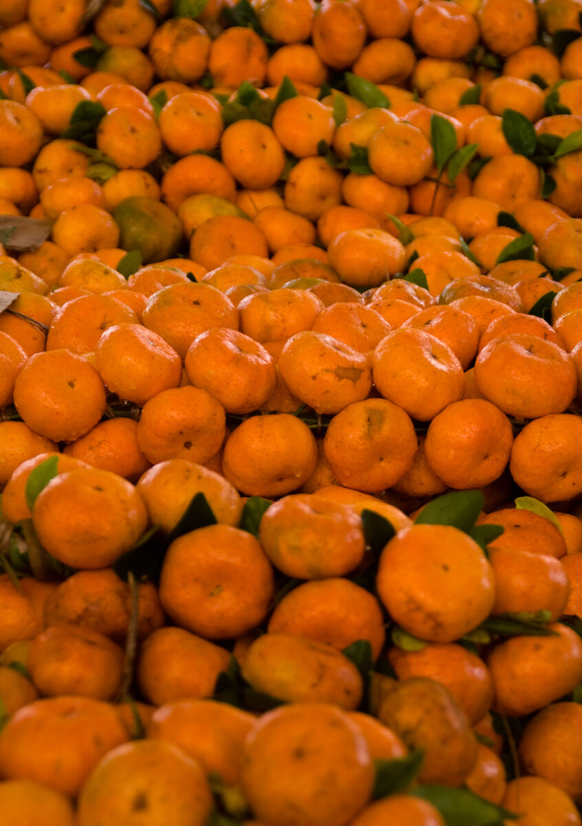 lenakel-mandarines-on-sale-1.jpg