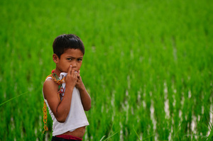 Shots taken in Tetebatu vilage, located on the near slope of Mount Rinjani in Lombok, Indonesia.
