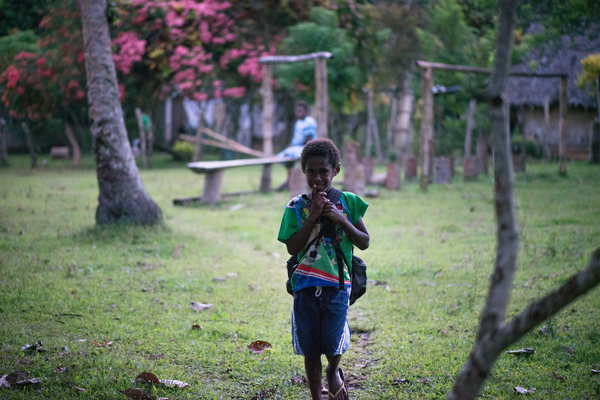 From a lightning visit to south Malekula and a return trip to the flea on the neck of the dog.
