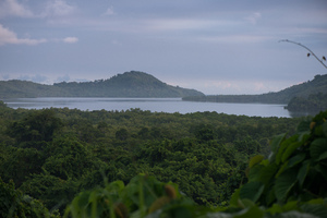 From a lightning visit to south Malekula and a return trip to the flea on the neck of the dog.
