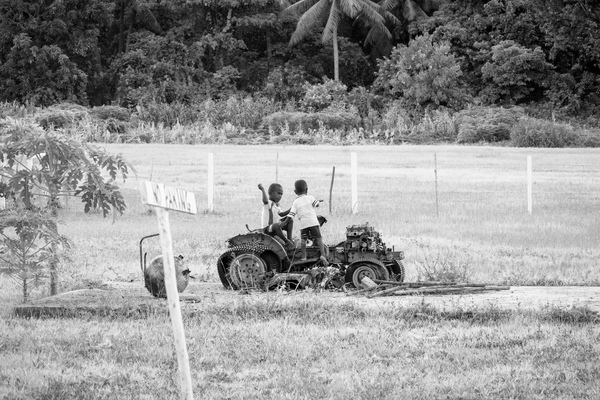 From a lightning visit to south Malekula and a return trip to the flea on the neck of the dog.
