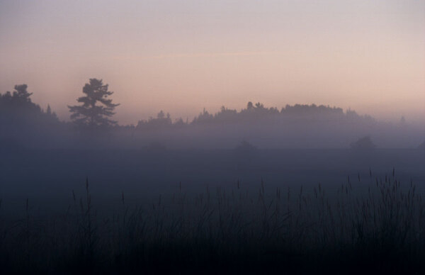 On the last, excruciatingly long leg of a drive from the West Coast back
to Ottawa, I stopped at dawn in a field near North Bay. The first light 
of day coalesced into some truly beautiful hues as the mist began to 
burn off the fields. I must have taken 30 shots in as many minutes.
This is the first of what I hope will be a series.
