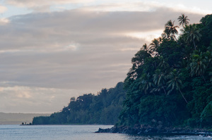 Liro, Paama Island, at Dawn