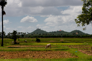 Shots from the Cambodian countrside.
