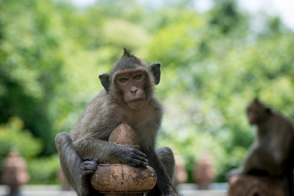 Shots from the Cambodian countrside.
