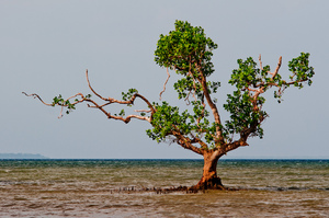 Some shots for Island Living magazine.
