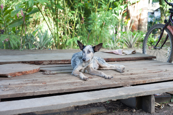 Shots from Wan Smolbag's photography course - session 4.

