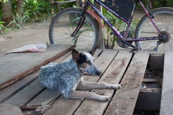Shots from Wan Smolbag's photography course - session 4.

