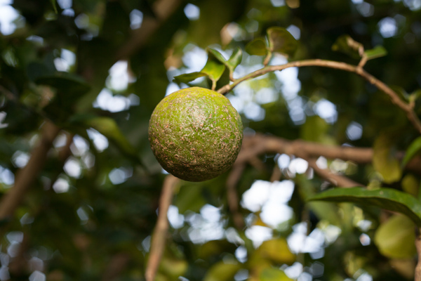 Shots from Wan Smolbag's photography course - session 4.
