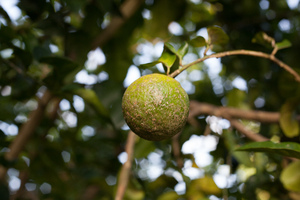Shots from Wan Smolbag's photography course - session 4.
