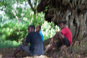 Photos from our second photography course.

