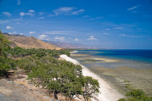 Timor Coastline