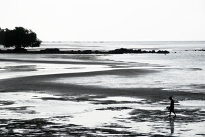 A man hunts for shell fish at low tide.
