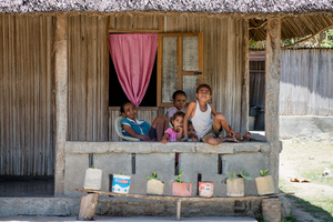 More shots from a road trip in Timor Leste.
