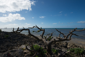 Shots taken on a free-time stroll around Nuku'alofa.
