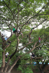 Shots of sports and spectators.
