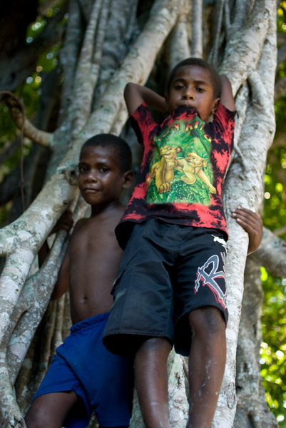 Two young boys seem relaxed amid the twisted trunks of a nambanga (banyan) tree.
