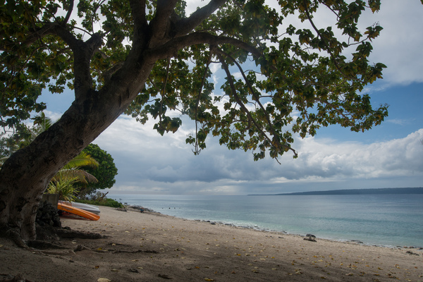 Shots for an Amazing Places feature in Island Life magazine.
