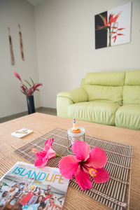 Shots for an Amazing Places feature in Island Life magazine.
