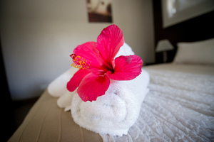 Shots for an Amazing Places feature in Island Life magazine.
