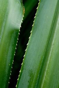 Shots taken on a long hike through the back parts of Blacksand, bordering on Manples.
