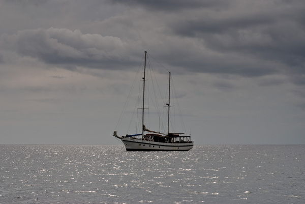 Shots taken on a recent outing to Moso island on the Congoola.
