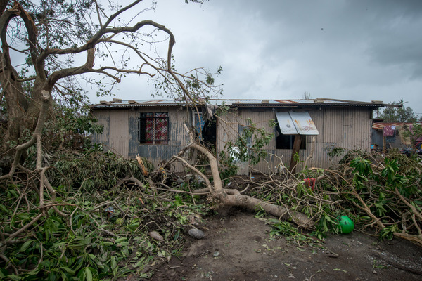 A few second round shots of the cyclone aftermath.
