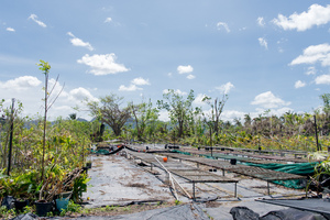 The partially destroyed roof of a resting area in a botanical garden near Port Vila.
