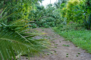 Cyclone Vania did most of its damage in sourthern Vanuatu, but it did manage a glancing blow on Port Vila.

