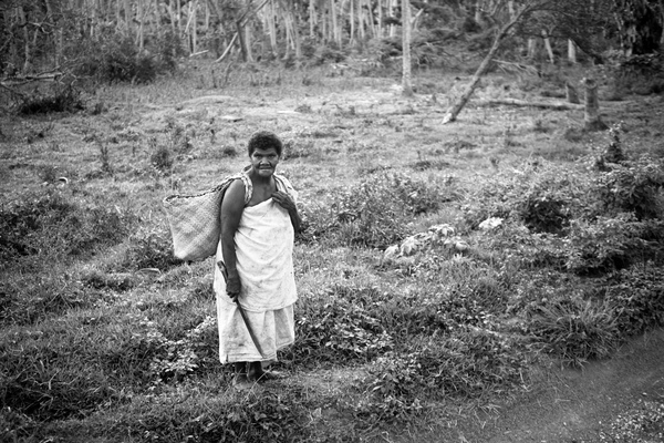 Australian governor general Peter Cosgrove's visit to Tanna underlines how much work remains to be done in the aftermath of cyclone Pam.
