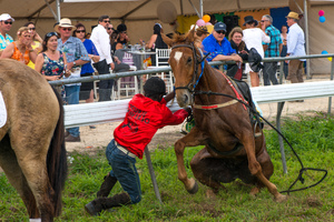 Pageantry, colour, excitement, and as always, the thrill of the race.
