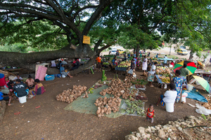 Shots from Friendly street in Manples.
