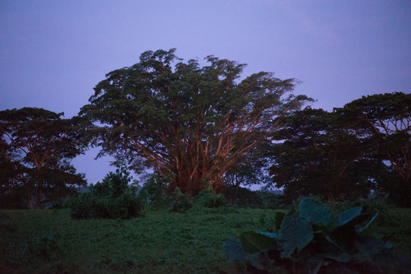 More shots for an Island Life piece on land reform.
