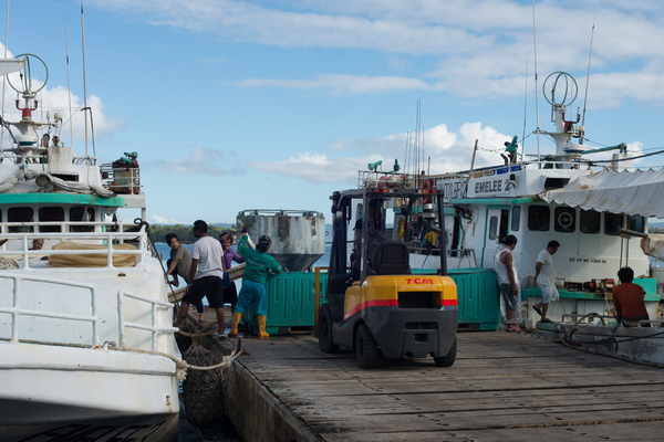 Shots taken down at the wharf.
