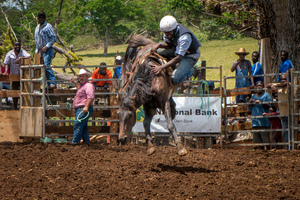 Port Vila residents gathered to watch a bit of the Wild West on Saturday in what everyone hopes is the first annual Port Vila Rodeo.
