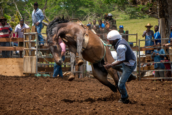 Port Vila residents gathered to watch a bit of the Wild West on Saturday in what everyone hopes is the first annual Port Vila Rodeo.
