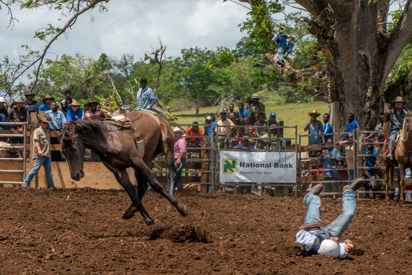 Port Vila residents gathered to watch a bit of the Wild West on Saturday in what everyone hopes is the first annual Port Vila Rodeo.
