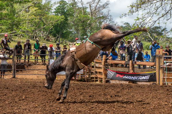 Port Vila residents gathered to watch a bit of the Wild West on Saturday in what everyone hopes is the first annual Port Vila Rodeo.
