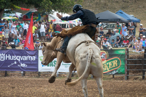 Fun and excitement on the second day of the 2017 edition of the Port Vila Rodeo.
