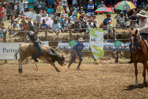 Fun and excitement on the second day of the 2017 edition of the Port Vila Rodeo.
